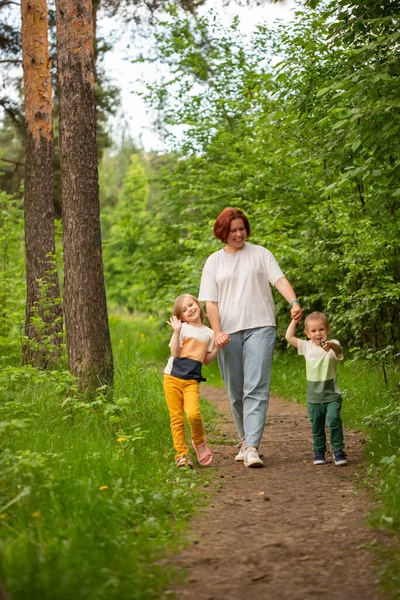 Mamá camina con dos niños en el verano en el bosque — Foto de Stock