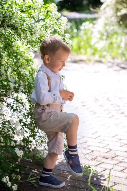 Beyaz spirea çiçekleri ve seçici odak ve yumuşak odaklı çiçek açan beyaz çalılıklardaki sevimli beyaz çocuk portresi..