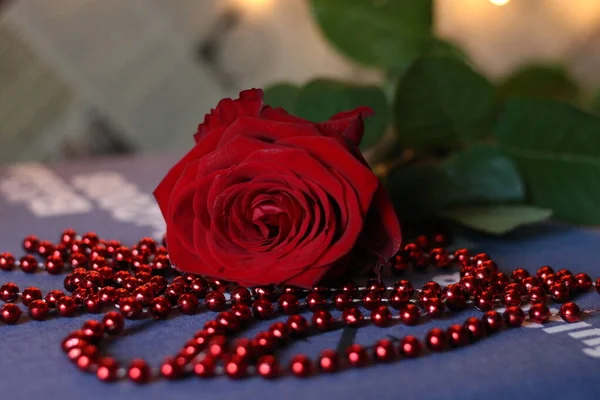 Czerwone Pąki Róż Czerwone Koraliki Międzynarodowy Dzień Róży Maja — Zdjęcie stockowe