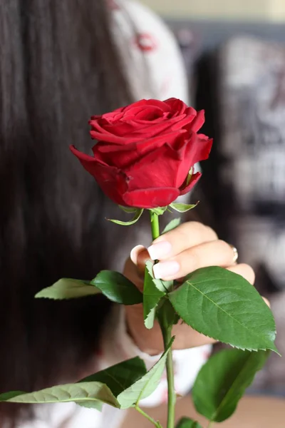 Dziewczyna Trzyma Czerwoną Różę Międzynarodowy Dzień Róży Maja — Zdjęcie stockowe