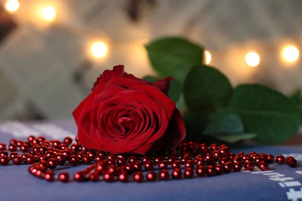 Czerwone Pąki Róż Czerwone Koraliki Światło Tle Międzynarodowy Dzień Róży — Zdjęcie stockowe