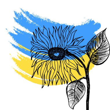 Ukrayna bayrağının arkaplanına karalama el çizimi şeklinde ayçiçeği. Ukrayna 'da savaş. Ukrayna' yı yükseltme. Vector illüstrasyonu baskı, tişört ve tipografi için beyaz arkaplanda izole edildi.