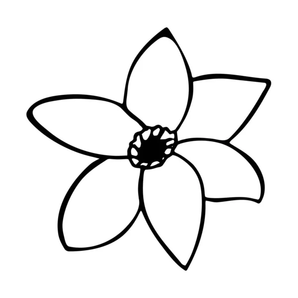 Met Hand Getekend Schattige Enkele Doodle Bloem Een Trouwbloem Voor — Stockvector