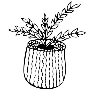 Süslü bir saksıda el çizimi şirin ofis bitkisi.. 