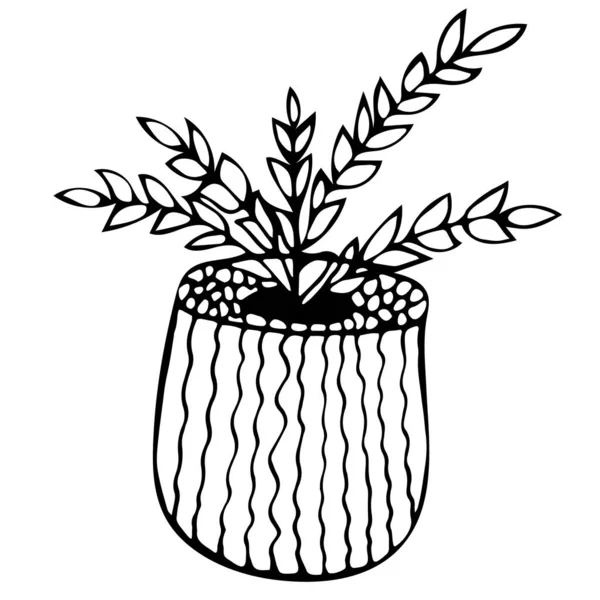 Süslü bir saksıda el çizimi şirin ofis bitkisi.. 