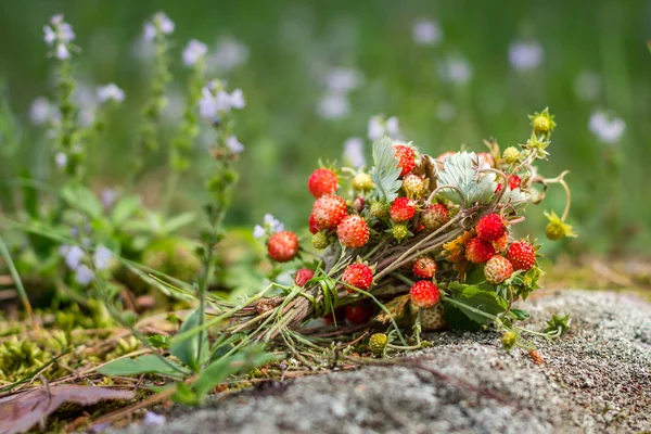 Bouquet of wild strawberries — Stock Photo, Image