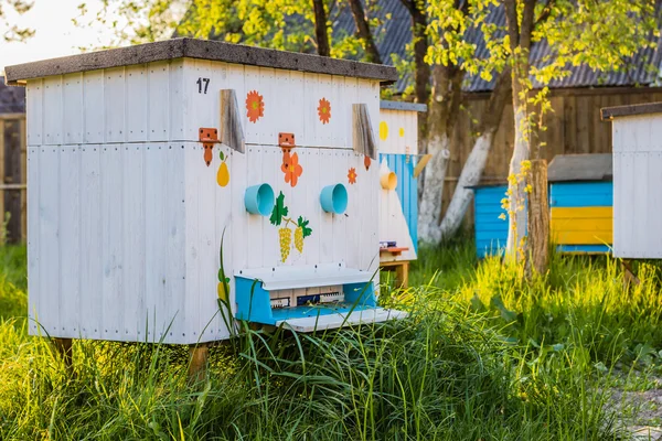 Özel arı kovanı, arı kovanı