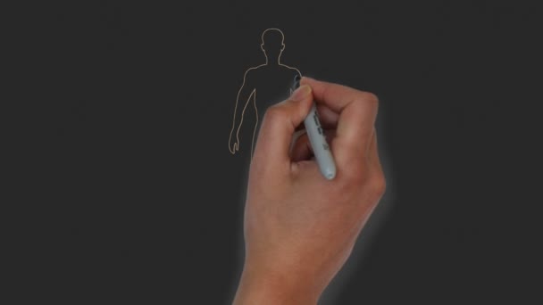 Colored Human Body Anatomy Infographic — Stock Video