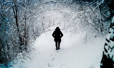 Kışın anlamaya ve kar yağıyor