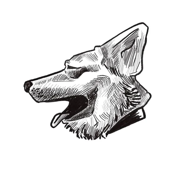 Corgi Souriant Croquis Logo Encre — Photo