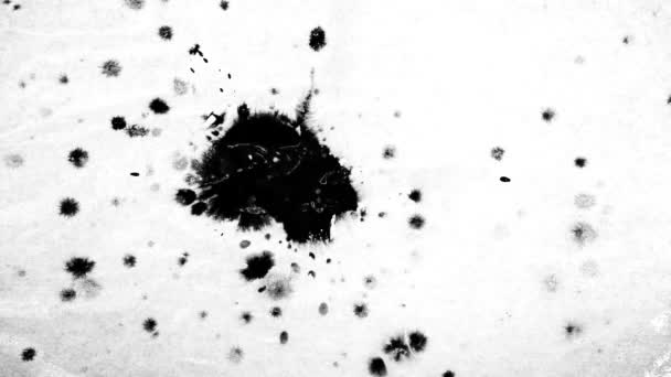 Black Liquid Paint Dropping Flowing White Background — Stock Video