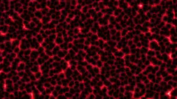 赤の背景に速く動く黒い細胞をループさせます アニメーションの背景 — ストック動画