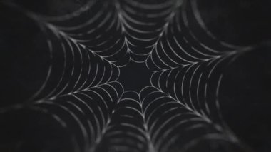 Örümcek ağı tünelinde kusursuz bir uçuş. Karanlık canlandırılmış arkaplan.