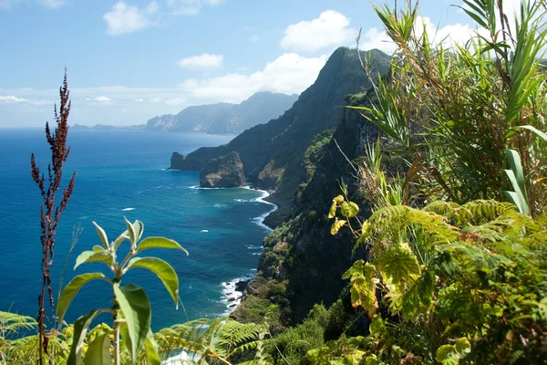 Madeira, costa noreste cerca de Santana — Foto de Stock