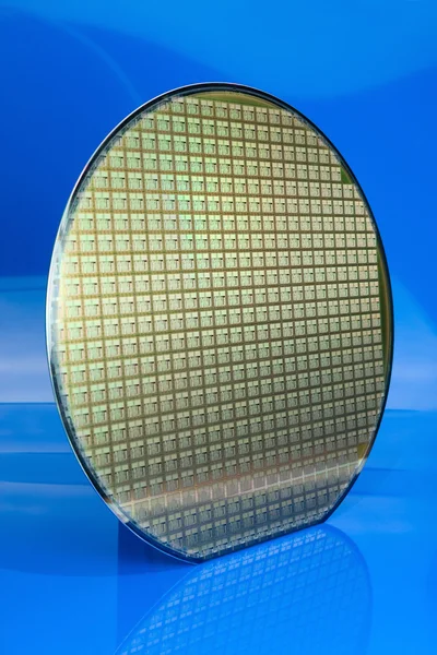 Silicon wafer on blue background — Stock Photo, Image