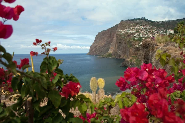 Madeira, blick auf cabo girao — Stockfoto