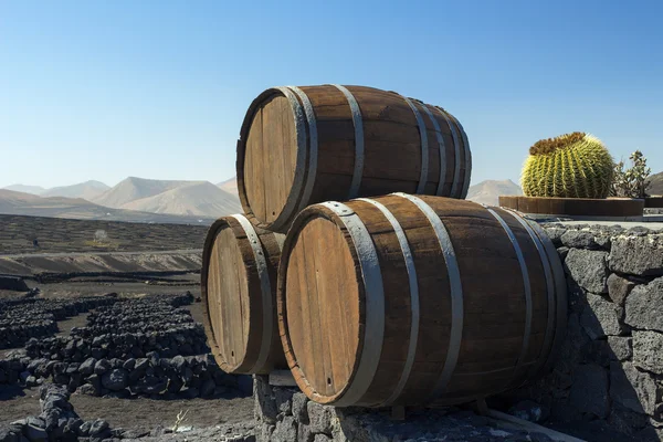 de la geria, lanzarote Şarap fıçıları