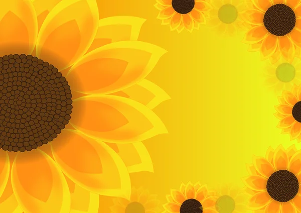 Fondo con girasol - Ilustración — Vector de stock