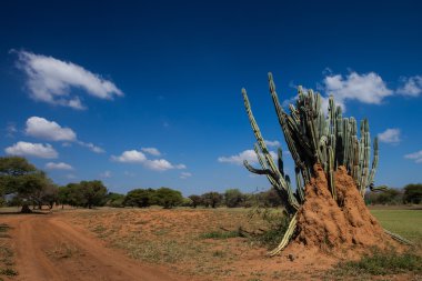 Botswana nature clipart