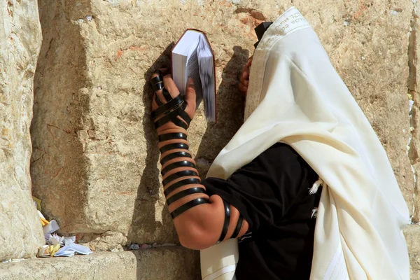 Western Wall rezar — Foto de Stock