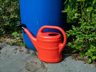 Mavinin önündeki yerde kırmızı, plastik sulama kutusu, parlak güneş ışığında bitkileri sulamak için su depolamak için yeniden kullanılan plastik su varili. Bahçe manzarası