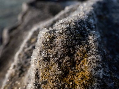 Sonbaharın sonunda ve kışın başında parlak güneş ışığında bitkilerin üzerinde beyaz erken sabah donlarından oluşan büyük buz kristallerinin makro çekimi. Bitkiler üzerindeki buz