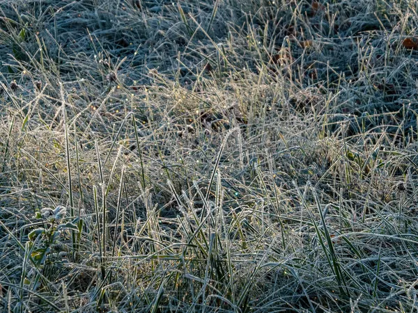 Blick Auf Das Gras Mit Großen Eiskristallen Von Weißem Morgenfrost — Stockfoto