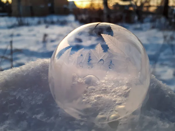 Макрознімок Круглої Замороженої Мильної Бульбашки Утворює Красивий Лист Дерево Візерунок — стокове фото
