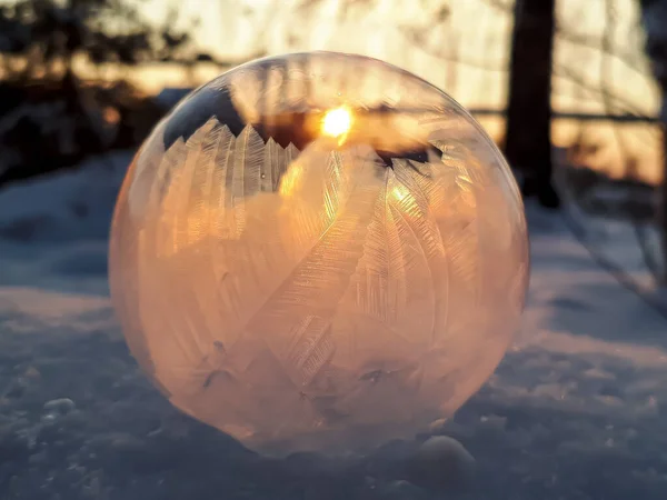 Macro Shot Frozen Soap Bubble Forming Beautiful Leaf Tree Pattern — Fotografia de Stock