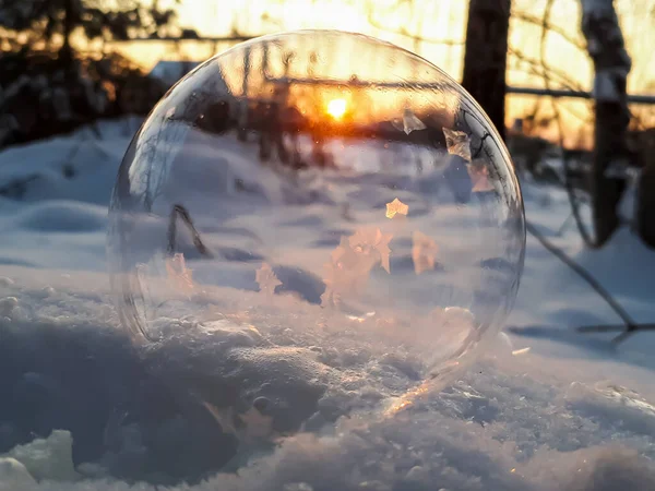 Macro Disparo Ronda Burbuja Jabón Congelado Formando Hermosa Hoja Árbol — Foto de Stock
