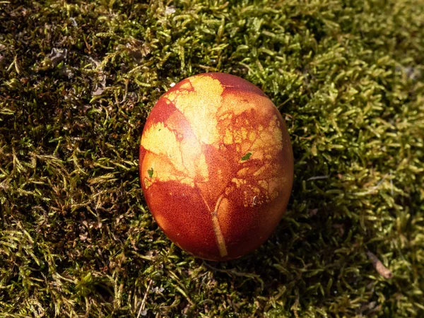 Macro Shot Huevo Pascua Solo Decorado Coloreado Con Plantas Naturales —  Fotos de Stock