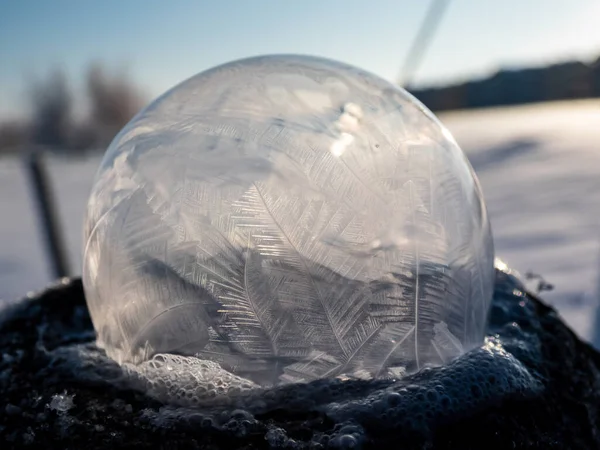 Macro Disparo Ronda Burbuja Jabón Congelado Formando Hermosa Hoja Árbol —  Fotos de Stock