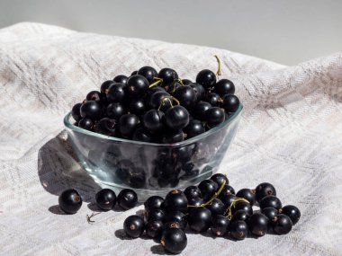 Beyaz masa örtüsü üzerinde ve parlak güneş ışığında cam kasede mükemmel olgun kuşüzümü (ribes nigrum) yakın çekim. Sağlıklı atıştırmalıklar. Yazın tadı