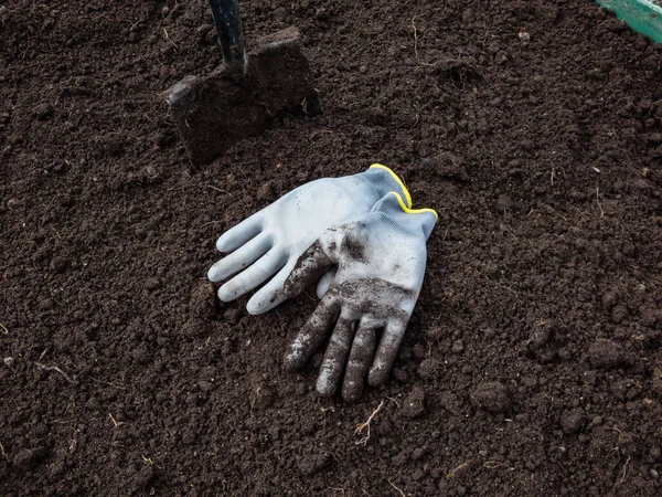 Vista Scavare Letto Giardino Rialzato Terreno Marrone Con Pala Guanti — Foto Stock