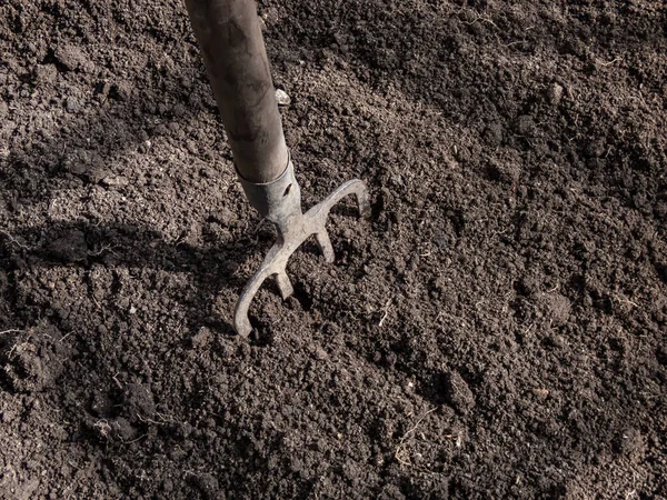 Blick Auf Ausgegrabenes Hochbeet Und Braune Erde Mit Mistgabel Ohne — Stockfoto