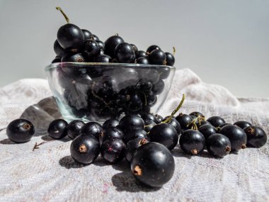 Beyaz masa örtüsü üzerinde ve parlak güneş ışığında cam kasede mükemmel olgun kuşüzümü (ribes nigrum) yakın çekim. Sağlıklı atıştırmalıklar. Yazın tadı