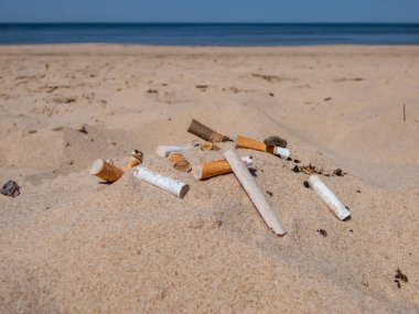 Baltık sahilindeki beyaz kumsalda farklı türde sigara izmaritleri ve arka planda kumsaldaki zehirli plastik kirliliği olarak su var. Dünyanın en dağınık plastik parçası. Plaj kirliliği