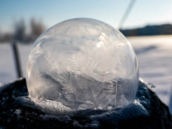 Макросъемка Круглого Замороженного Мыльного Пузыря Образующего Красивый Лист Дерево Похожий — стоковое фото