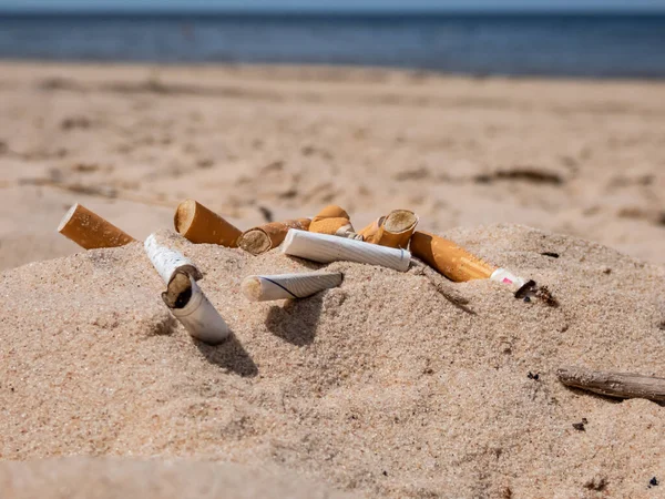 Baltık sahilindeki beyaz kumsalda farklı türde sigara izmaritleri ve arka planda kumsaldaki zehirli plastik kirliliği olarak su var. Dünyanın en dağınık plastik parçası. Plaj kirliliği