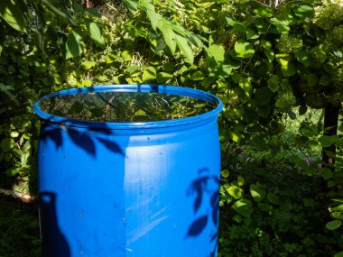 Mavi, plastik su varili, yaz boyunca bitki örtüsüyle çevrili, çatıdan gelen suyla dolu bitkileri sulamak için yağmur suyu toplamak ve depolamak için yeniden kullanılır.