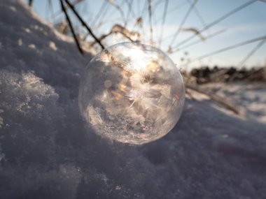 Yuvarlak, donmuş sabun köpüğünün makro çekimi kışın çok soğuk sıcaklıklarda donarken ağaç ve yaprak şeklini oluşturur.