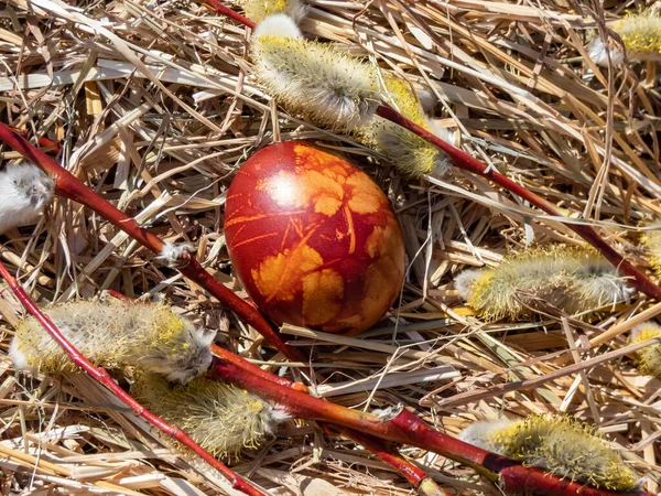 Macro Tiro Ovos Easter Decorados Com Fábricas Naturais Flores Flor — Fotografia de Stock