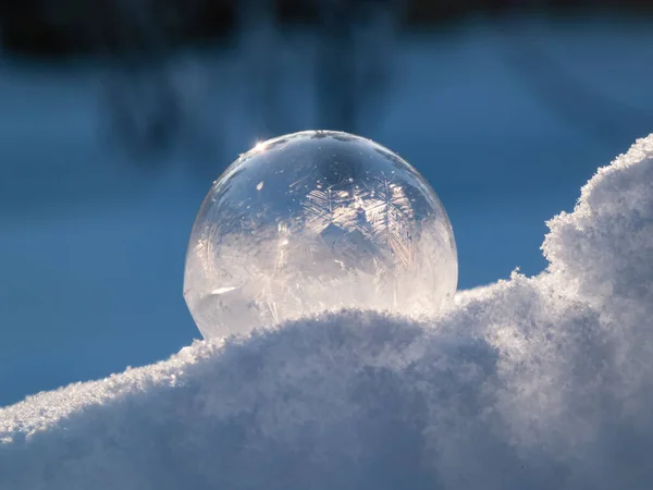 Макросъемка Круглого Замороженного Мыльного Пузыря Образующего Красивый Лист Дерево Похожий — стоковое фото