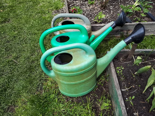 Green plastic watering cans on ground for watering plants in bright sunlight in the garden. Gardening scenery