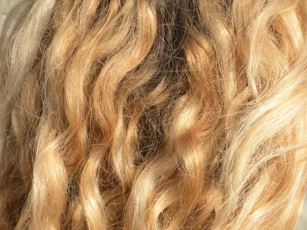 Capelli — Foto Stock