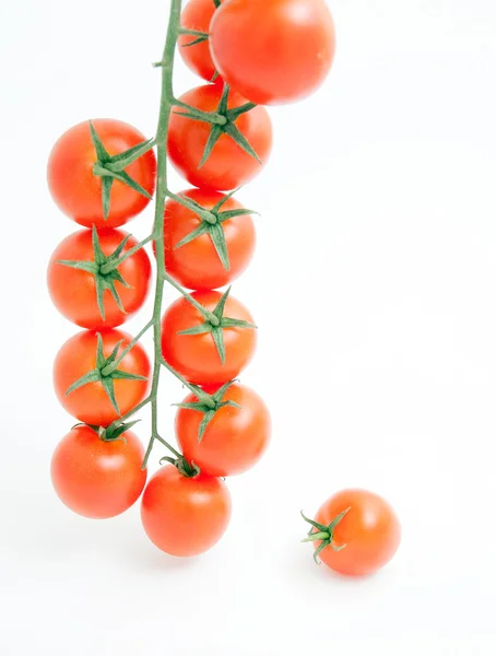 Tomatoes — Stock Photo, Image