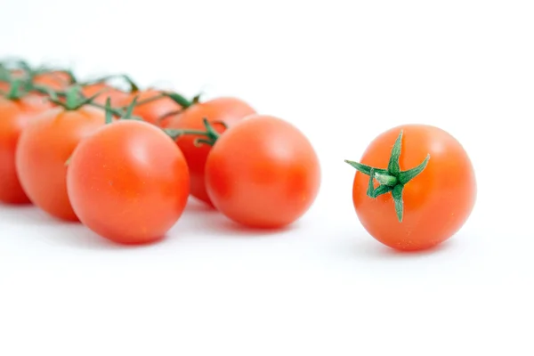 Tomater Stockfoto