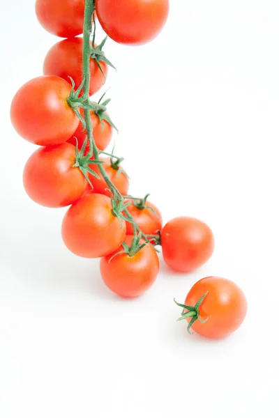 Tomates Fotografia De Stock