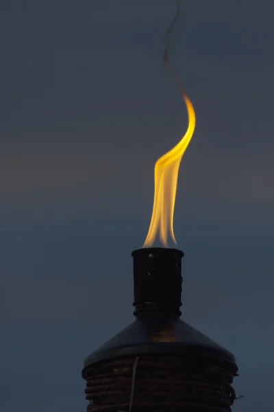 Torch — Stock Photo, Image