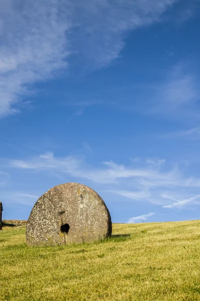 Millstone yeşil dosyası